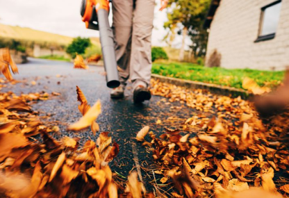 Leaf removal - Green Place