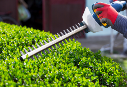 Shrub Trimming - Green Place