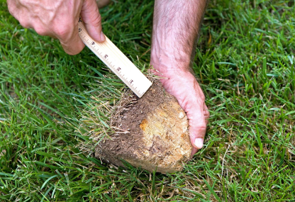 Thatch removal - Green Place