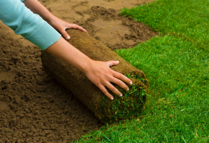 Sod installation - Green Place