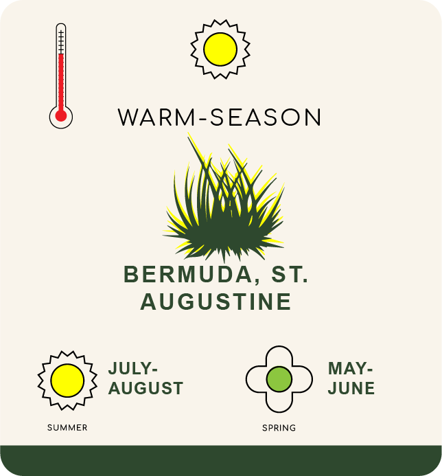 When is the Best Time to Aerate Your Yard in California?