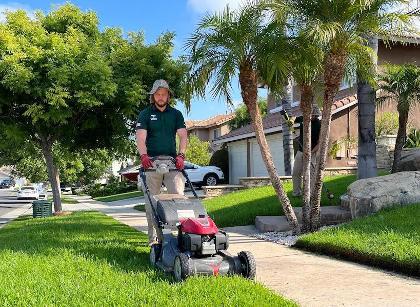 Lawn Cutting Service: Why Choose Us?