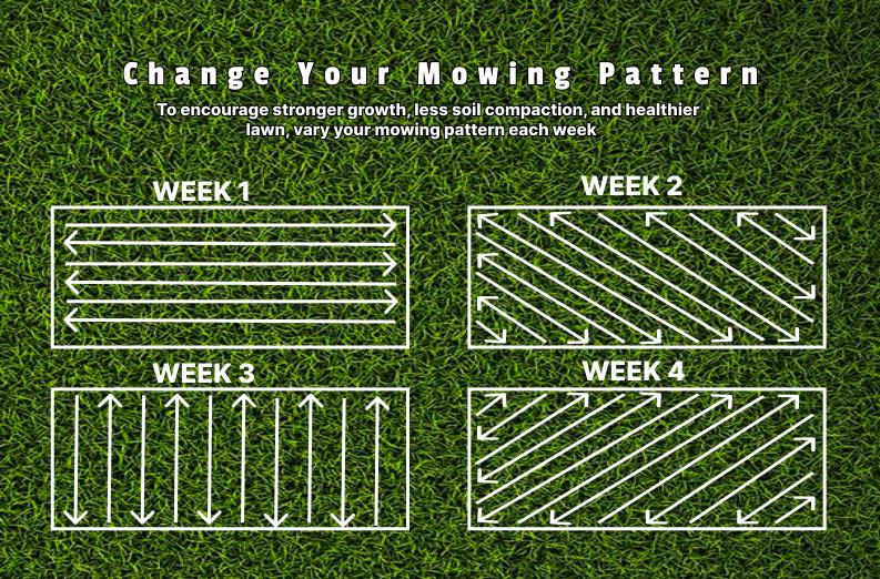 Proper Lawn Mowing Guide