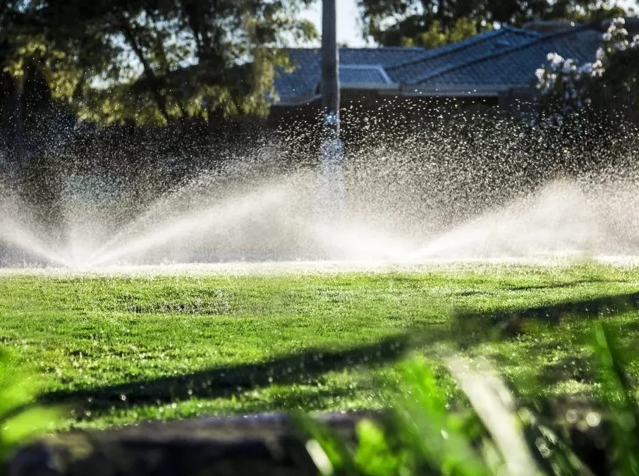 Efficient Lawn Watering in California