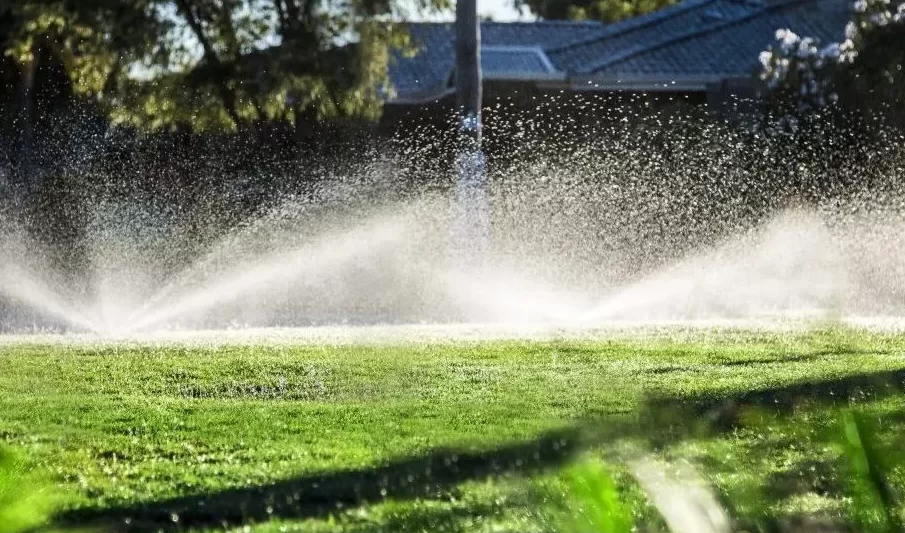 Efficient Lawn Watering in California