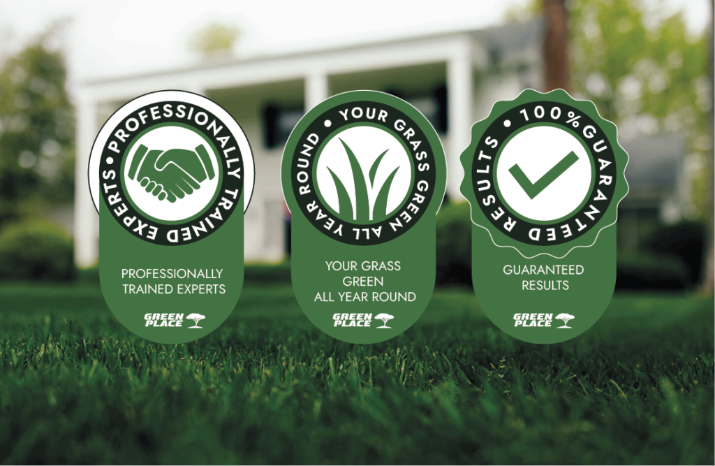 Why Opt for Our Lawn Overseeding Service?