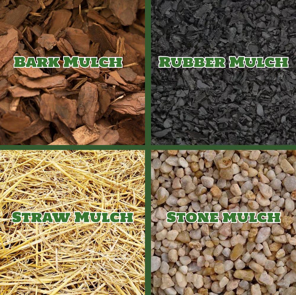 Choosing the Right Mulch for Your California Lawn