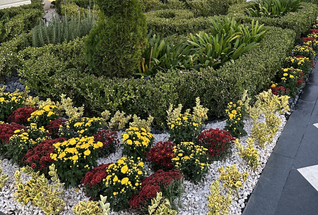 Benefits of Flower Bed Maintenance and Dead Plant Removal