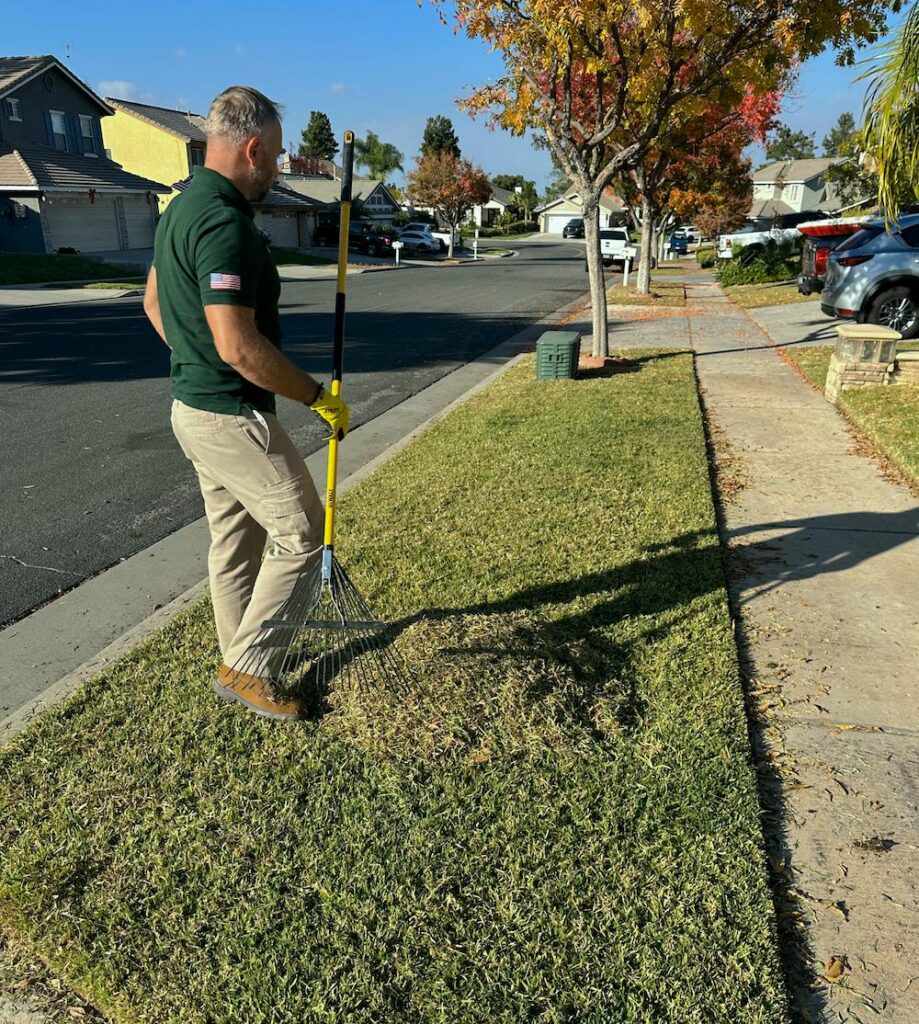 Why Choose Our Company for Lawn Fungus Control?