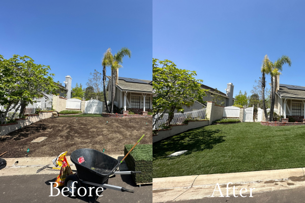 Why Artificial Turf Maintenance Is Important