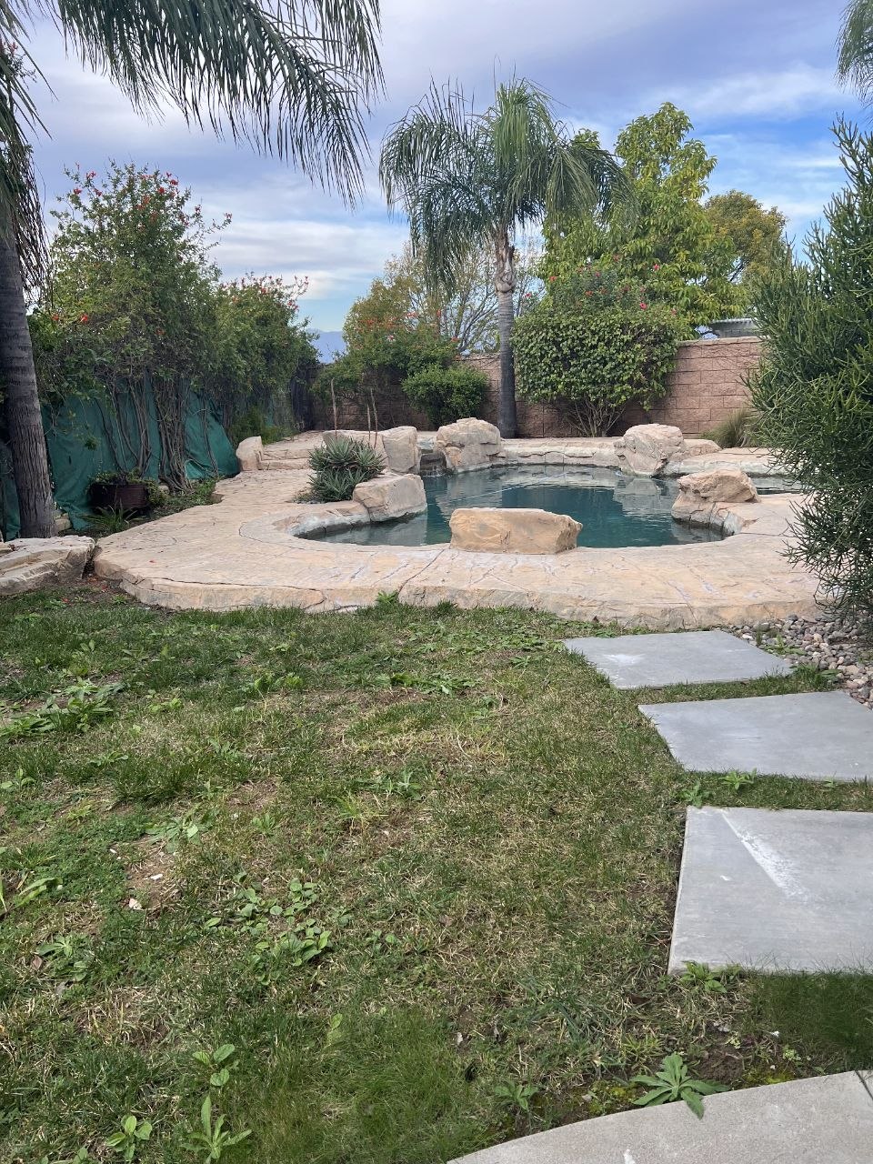 Backyard Landscaping